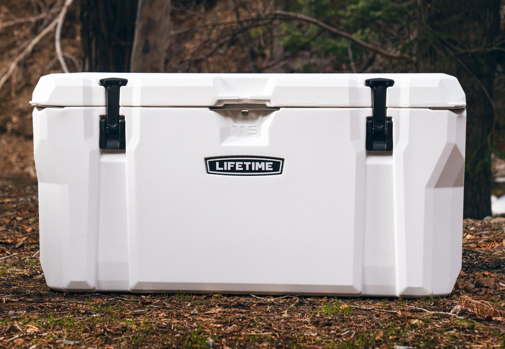best portable electric cool box
